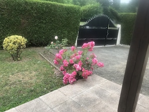 Property grounds - Chambre d'hote chez christiane for 2 people (lourdes)