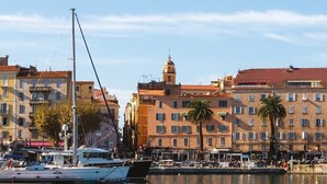 Un puerto deportivo con barcos amarrados, edificios con balcones y una palmera.
