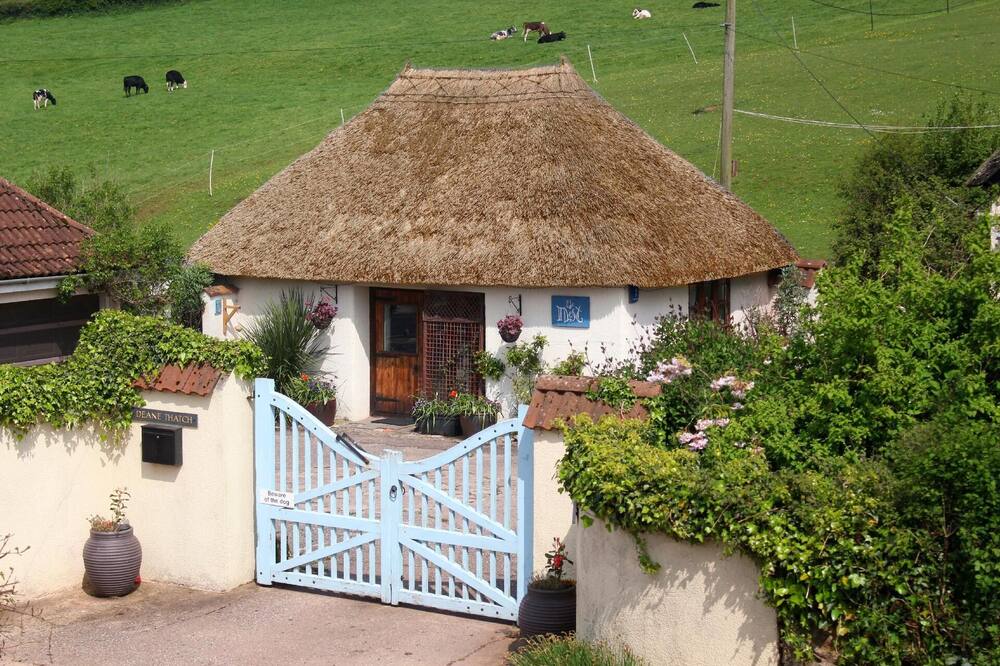 Holiday house Stokeinteignhead for 1 - 2 persons with 1 bedroom - Holiday house
