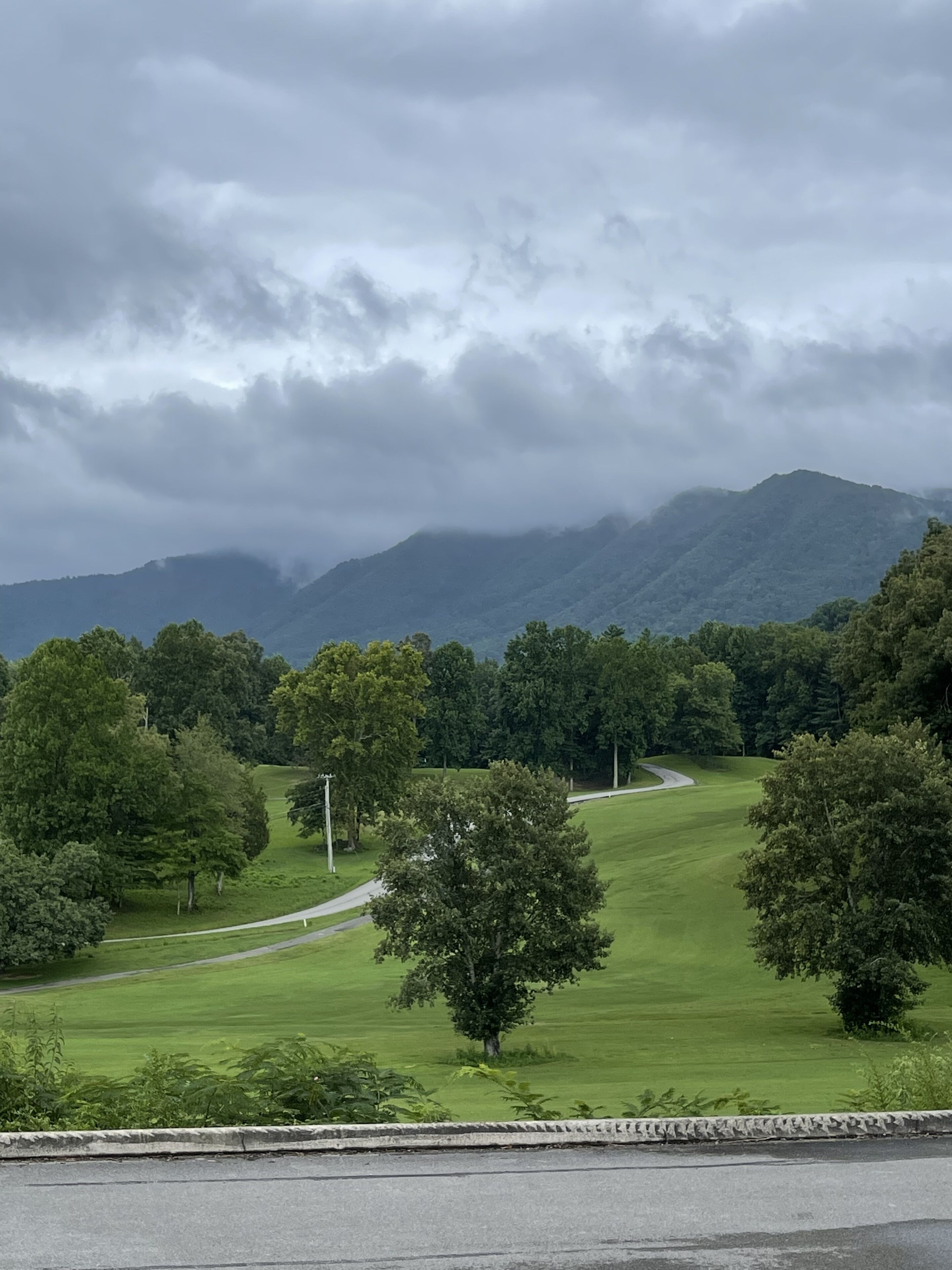 Een weelderig groen landschap met een kronkelende weg, bomen en bergen op de achtergrond.