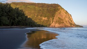 A beach with a sandy shore, a forested hill, and ocean waves. - Cozy Cottage in Honoka'a with ocean view from front Lani. (Honokaa)