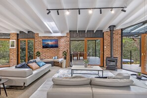 Smart TV, fireplace, books