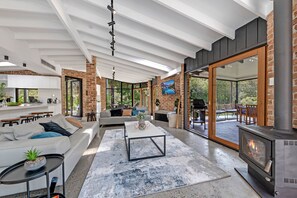 Smart TV, fireplace, books