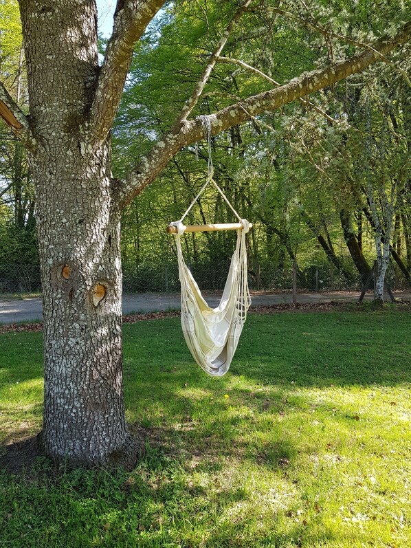 Una hamaca colgada de un árbol en una zona con césped.