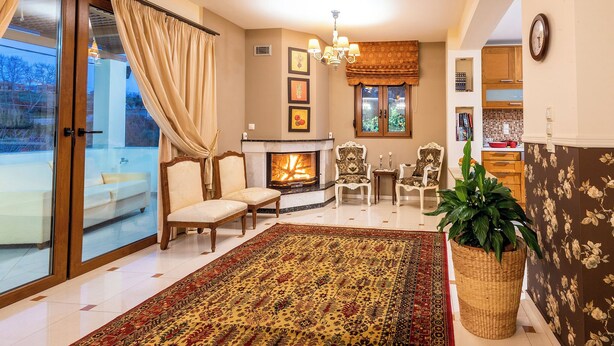 A living room with a fireplace, a large rug, and a potted plant.