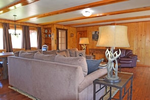 Smart TV, fireplace, books, video library