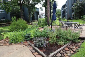 Enjoy al fresco dining on the patio, surrounded by lush plants and a modern building in the background.