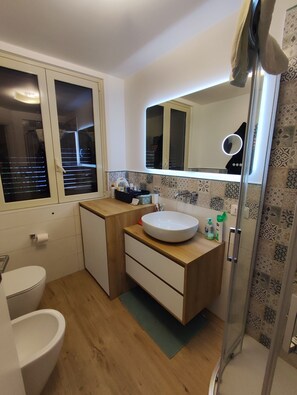 Shower, hair dryer, bidet, towels