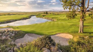 Un parcours de golf avec un étang, des bunkers de sable et un grand arbre.