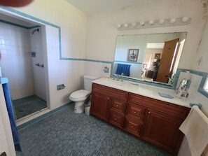 A bathroom with a shower, toilet, sink, and vanity. - Lakefront house for rent (Winter Haven)