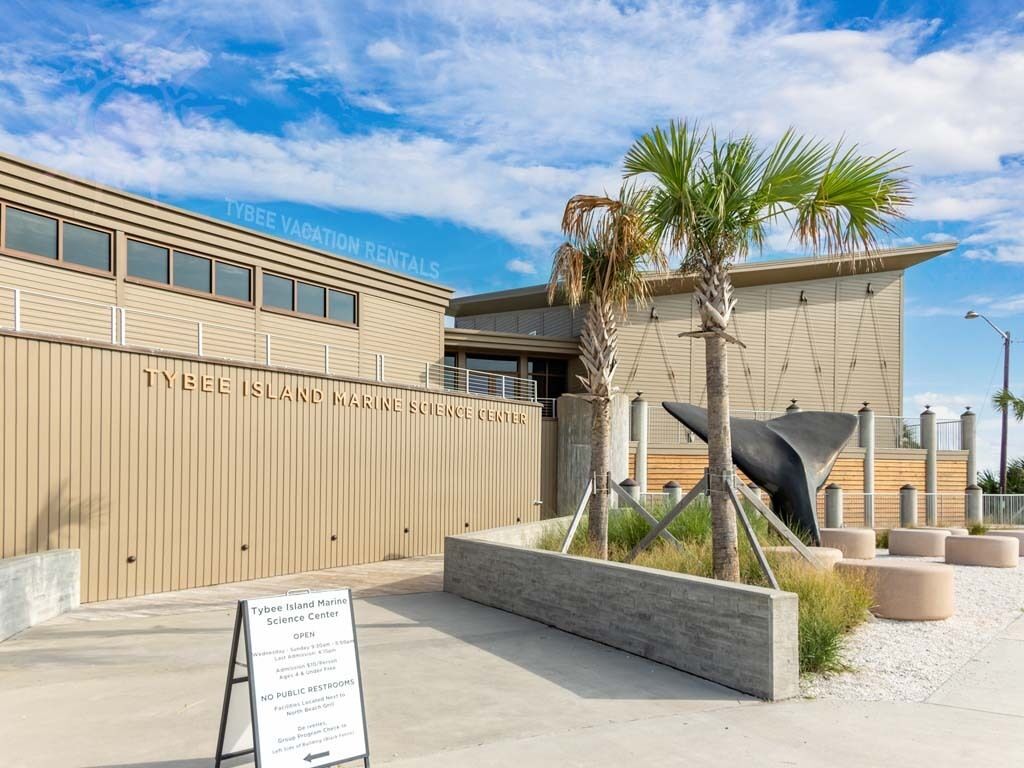 Tybee Island Marine Science Center with a clear sky, palm trees, and a sign indicating it is open.