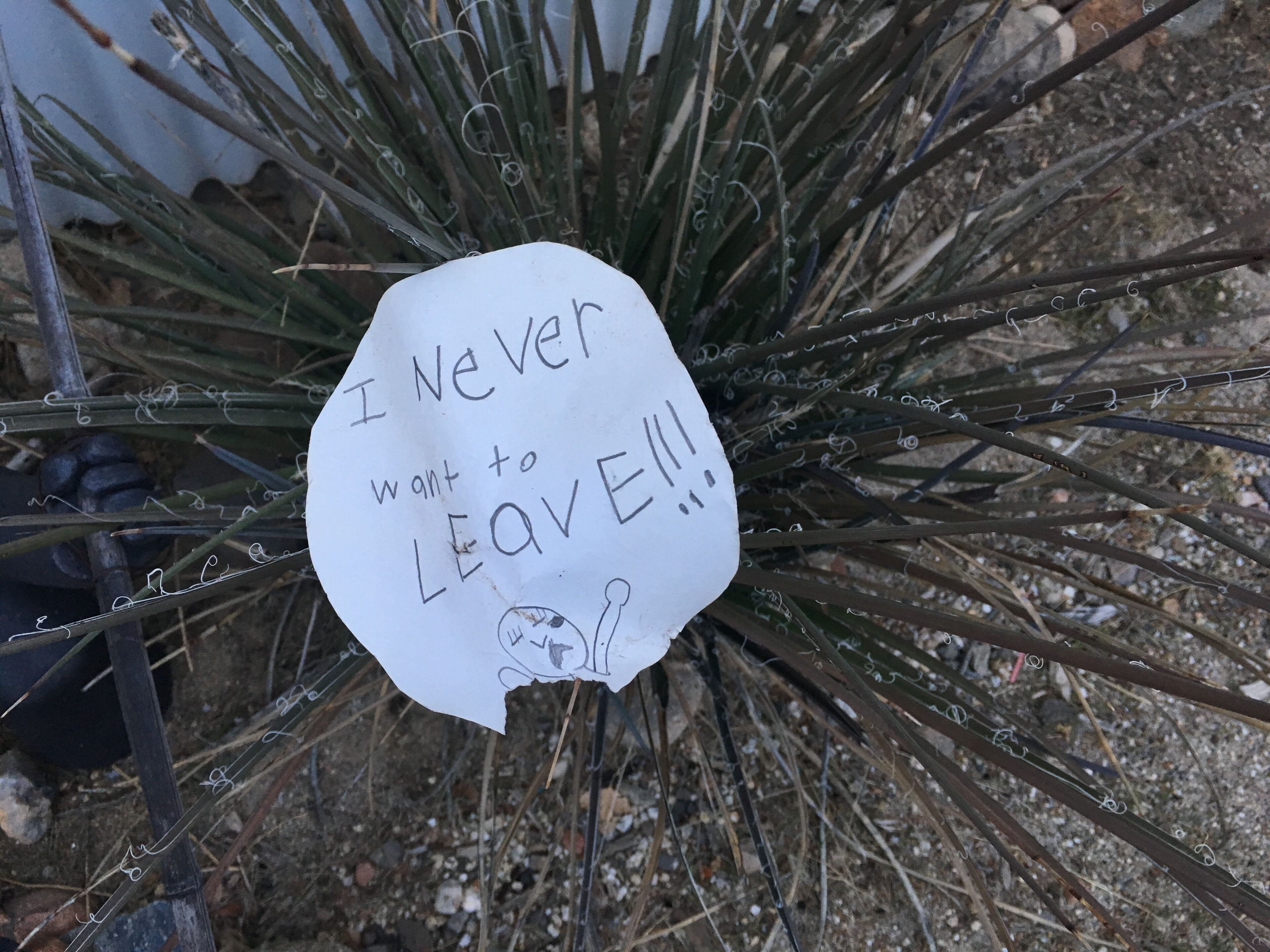 A handwritten note attached to a plant with the message "I Never want to LEAVE!!!".