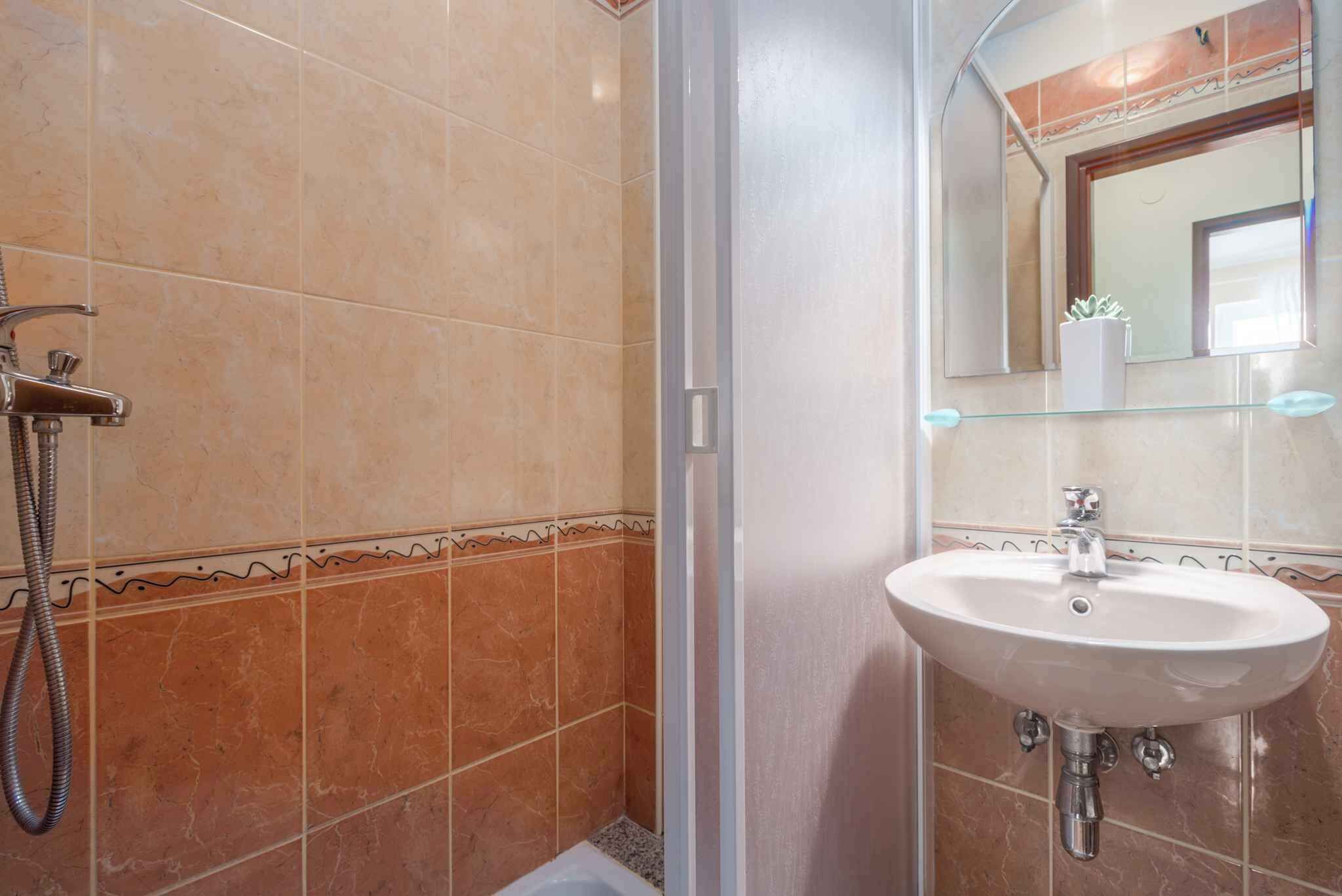 Une salle de bain avec une douche, un lavabo et un miroir.