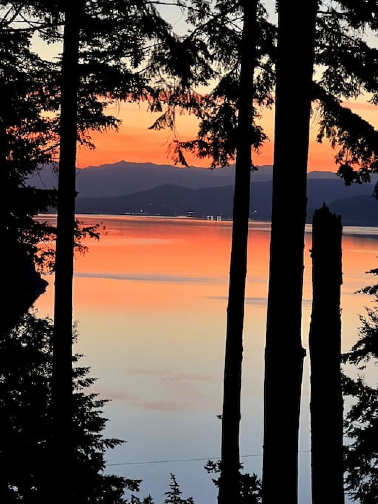 Une vue paisible sur le lac, encadrée par de grands arbres.