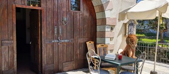 Nice apartment for 4 people with A/C, WIFI, pool, TV, terrace and pets allowed