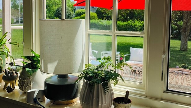 A window with multiple panes, a lamp, and several potted plants on a windowsill.