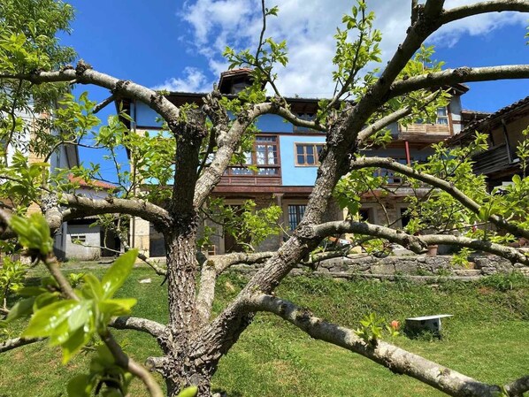 A tree with a birdhouse in its branches, a stone wall, and a building with a blue facade in the background. - RURAL TYPICAL ASTURIAS'S HOME (Prunales)