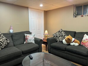 Televisor intel·ligent, llar de foc i llibres 