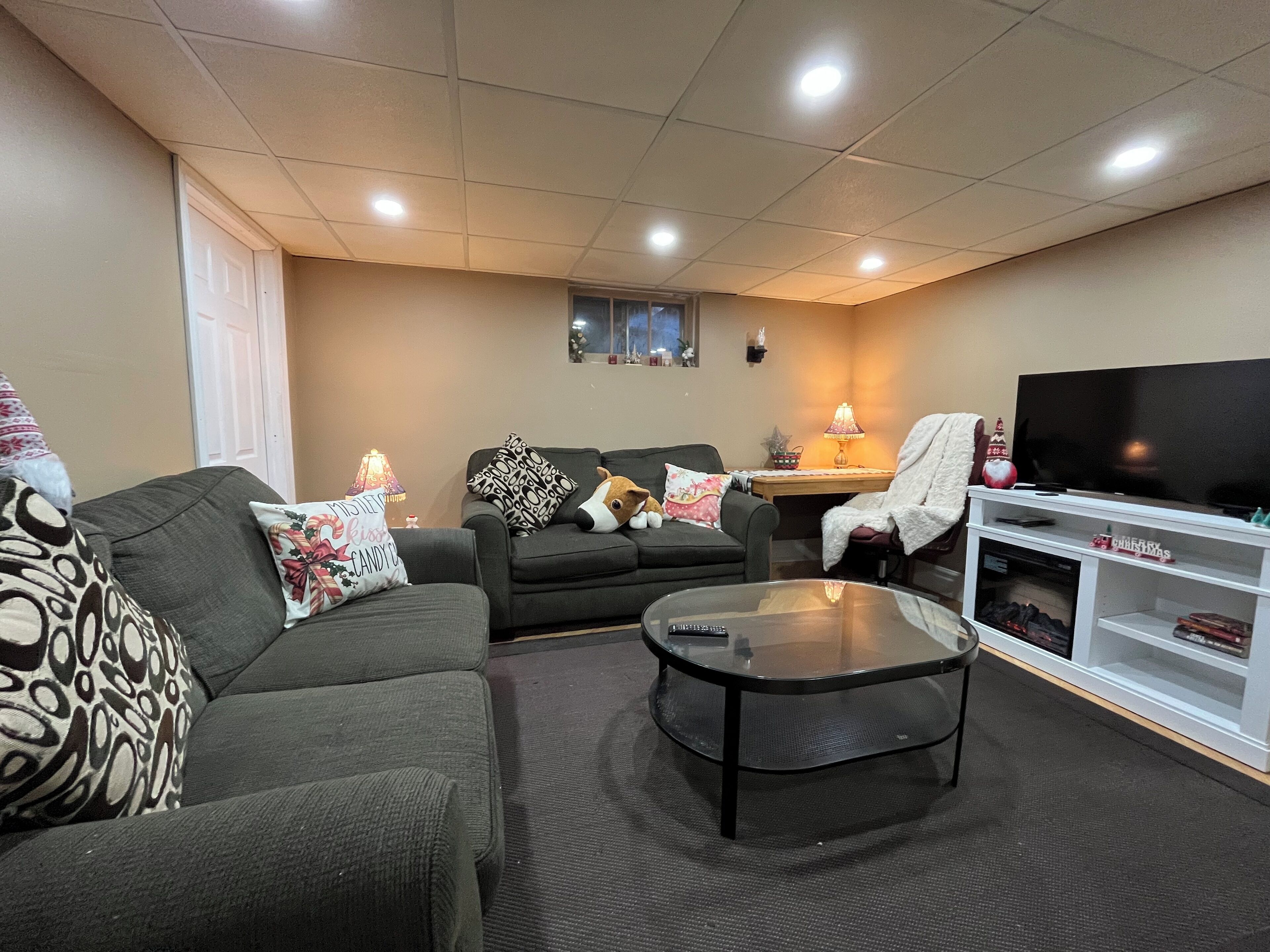 Smart TV, fireplace, books