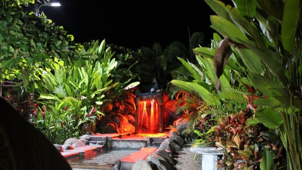 A nighttime garden with a waterfall, surrounded by lush greenery and rocks.