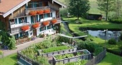 Apartment West 55sqm, terrace, kitchen, 2 bedrooms, living room, max 4 p.