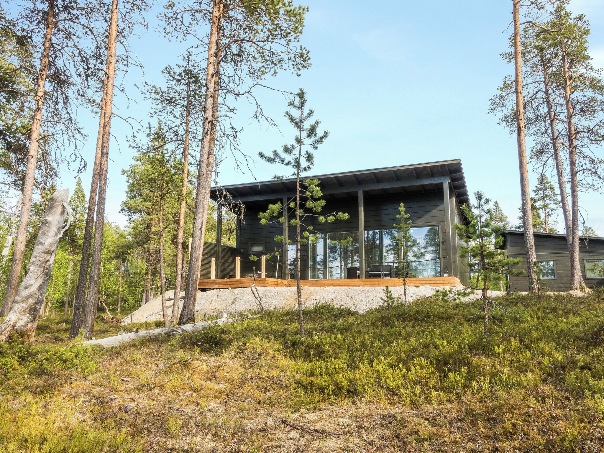 Moderni mökki, jossa on kalteva katto, ja sen ympärillä kohoaa korkeita mäntyjä.