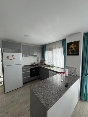 Apartamento standard | Cozinha privada | Geladeira grande, fogão, cooktop, lava-louças