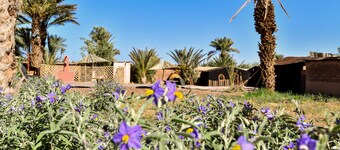 FERME DAR CHARACH luxury tent in the heart of the palm grove