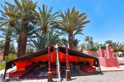 FERME DAR CHARACH luxury tent in the heart of the palm grove