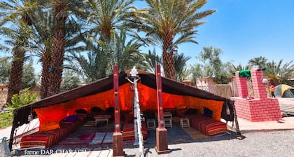 FERME DAR CHARACH luxury tent in the heart of the palm grove