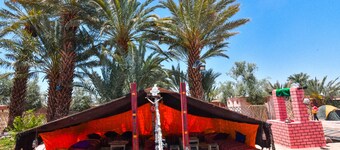 FERME DAR CHARACH luxury tent in the heart of the palm grove