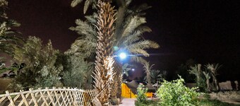 FERME DAR CHARACH luxury tent in the heart of the palm grove