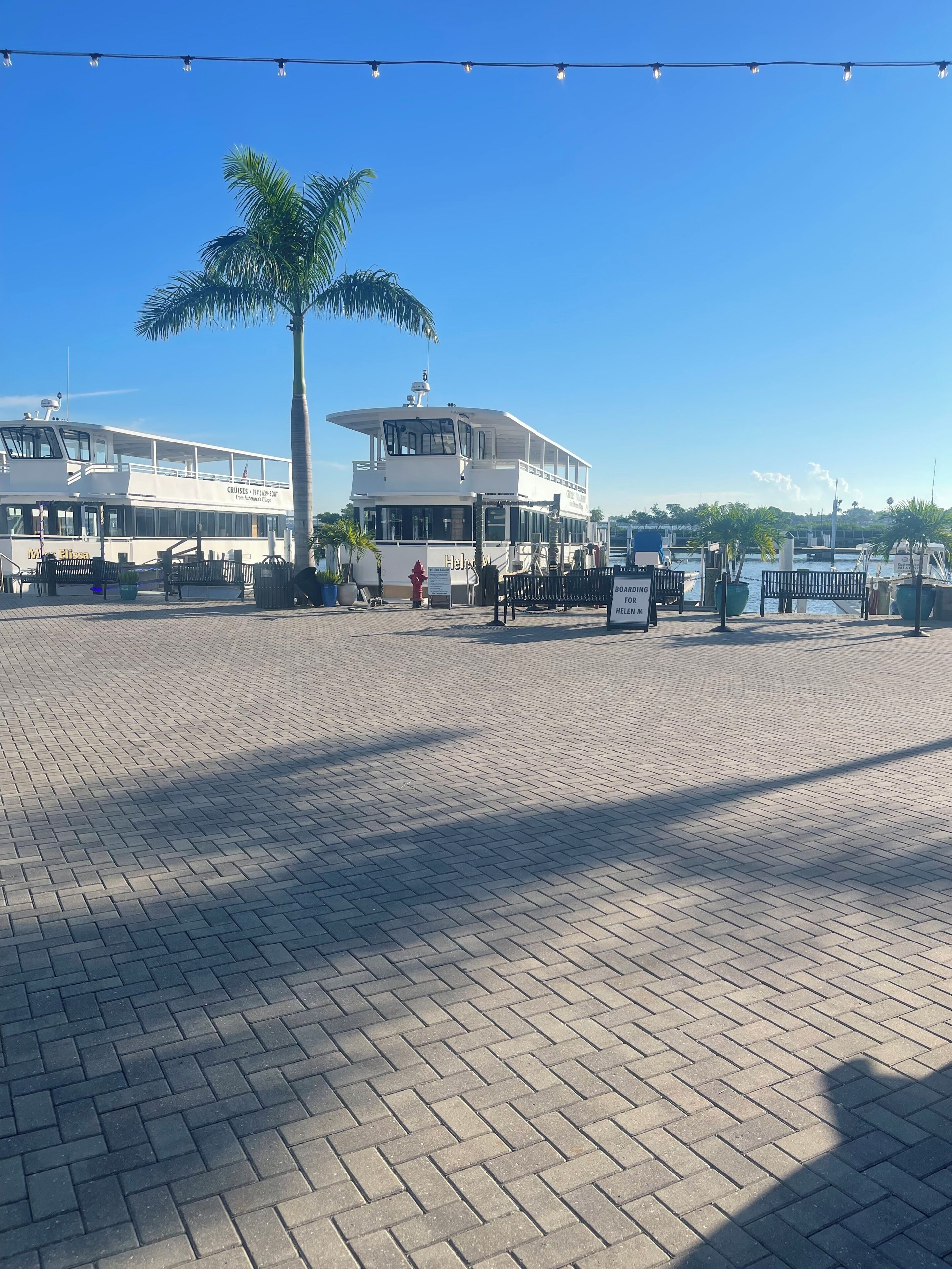 A waterfront area with a white boat docked, a palm tree, and a paved walkway.