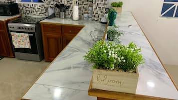 House | Private kitchen | Fridge, microwave, oven, stovetop