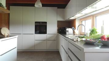 Kühlschrank, Ofen, Herdplatte, Geschirrspüler