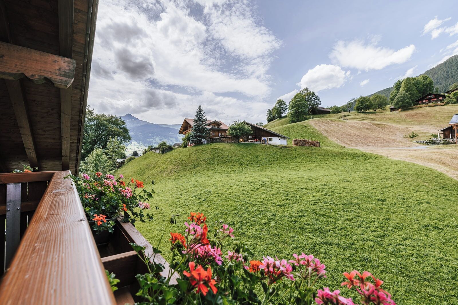 Chambre Romantique | Vue de la chambre