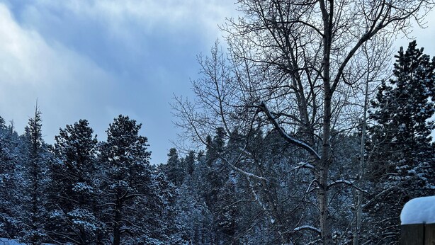 A snowy landscape with a river, trees, and a wooden fence. - Take it EZ cabin overlooking the river with HOT TUB  on the deck 5 min to Estes! (Drake)