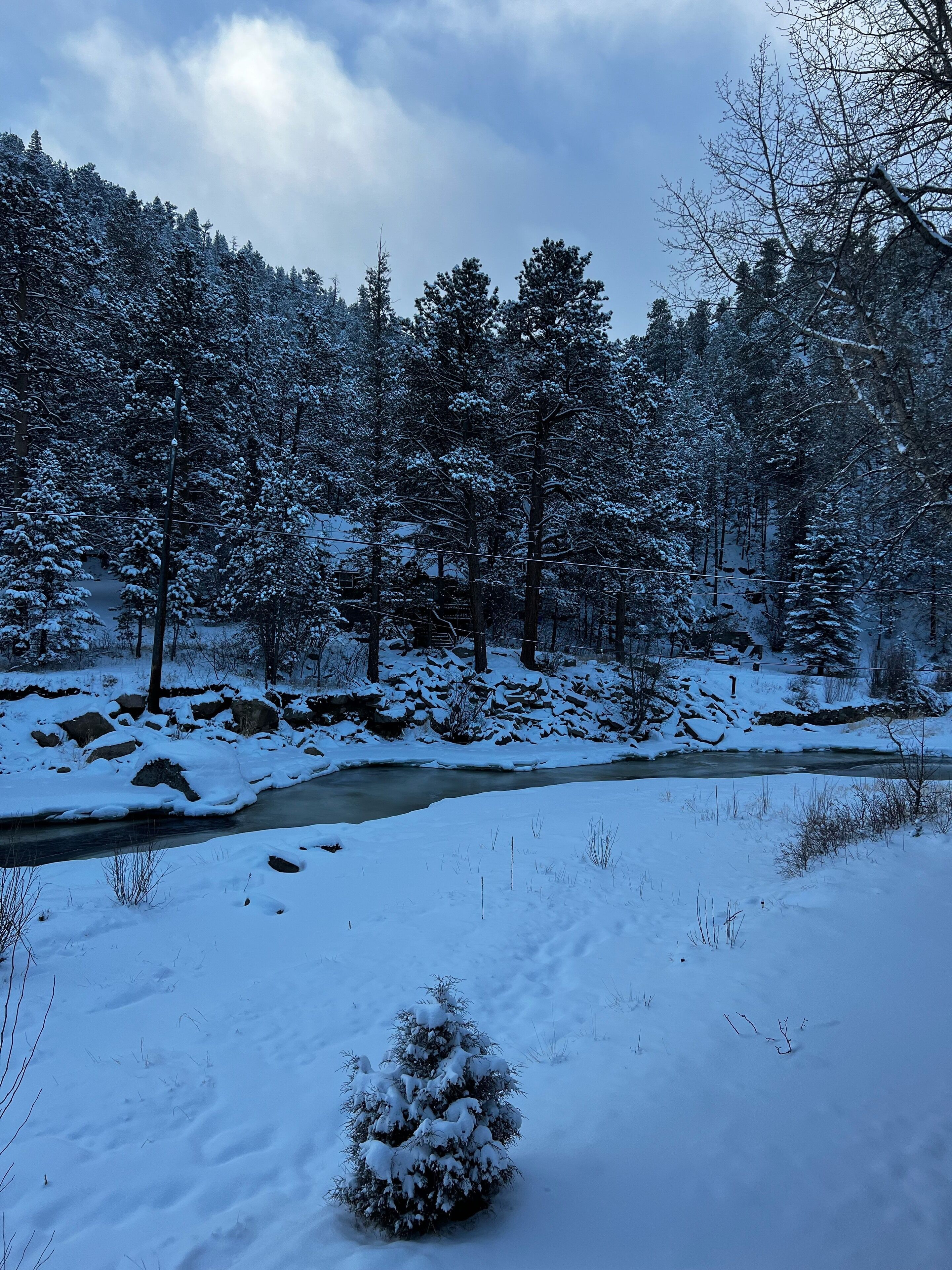 Un paisaje nevado con un río, árboles y un arbusto pequeño.