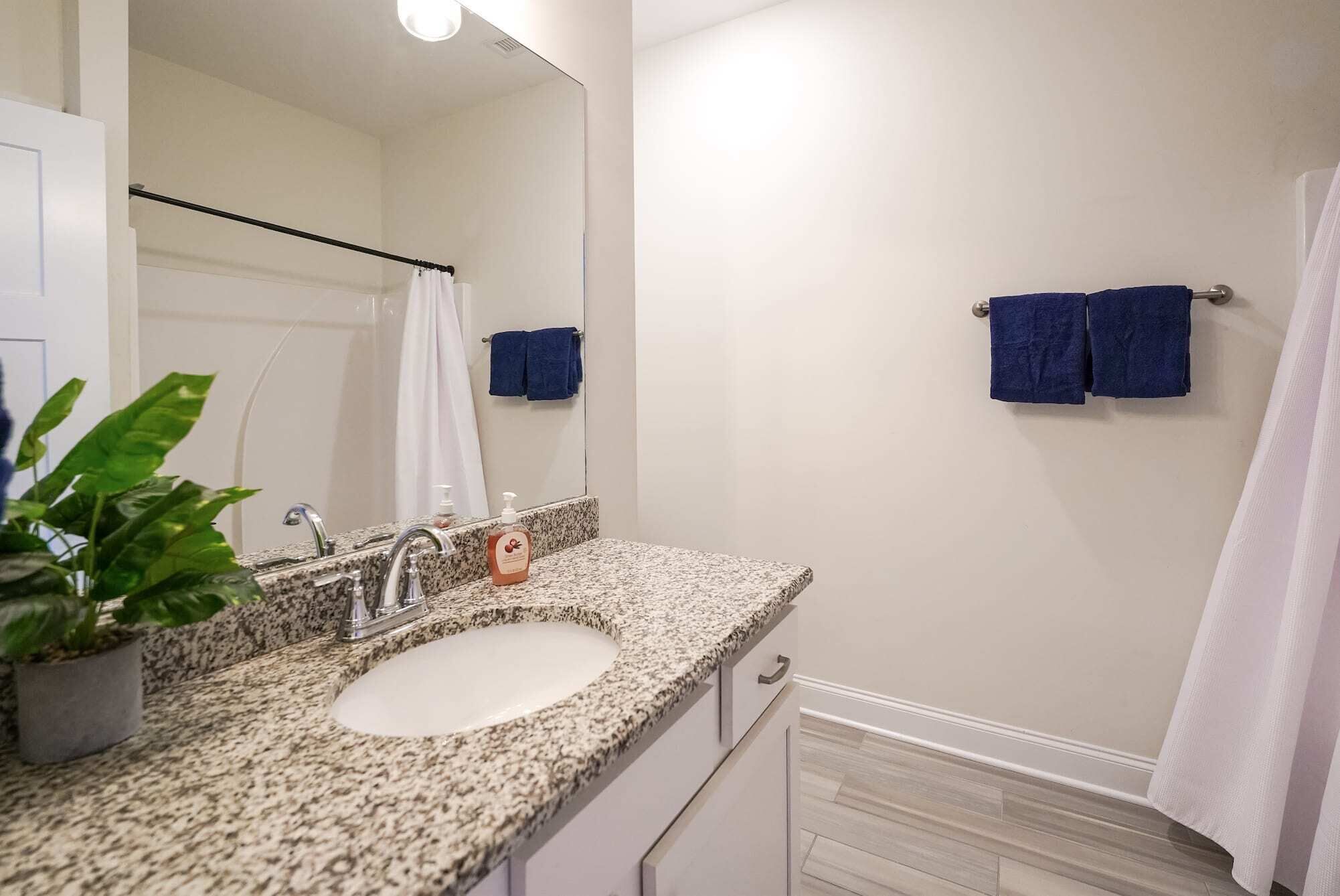 Baño con lavamanos de encimera de granito, espejo, toallero con dos toallas y una planta en maceta.