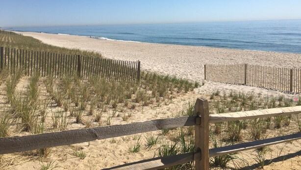 Een strand met houten omheiningen en duinen.