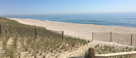 Plage à proximité
