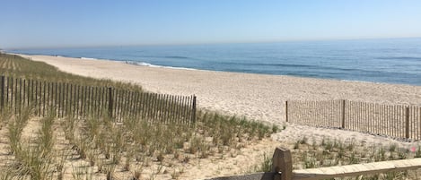 Una spiaggia nelle vicinanze