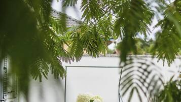 Un área de estar al aire libre con una mesa de madera y sillas blancas, una pizarra al fondo y abundante follaje verde.