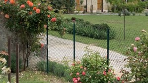 A stone building with a tiled roof, surrounded by a well-maintained garden with flowering plants and a fenced area. - Bed and breakfast / gîte with SPA (Massages on reservation) (Domessargues)