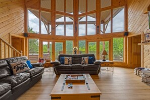 TV connectée, cheminée, jeux vidéo, livres