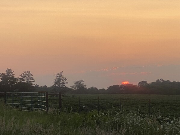 Paisaje rural con una cerca y árboles durante el atardecer.