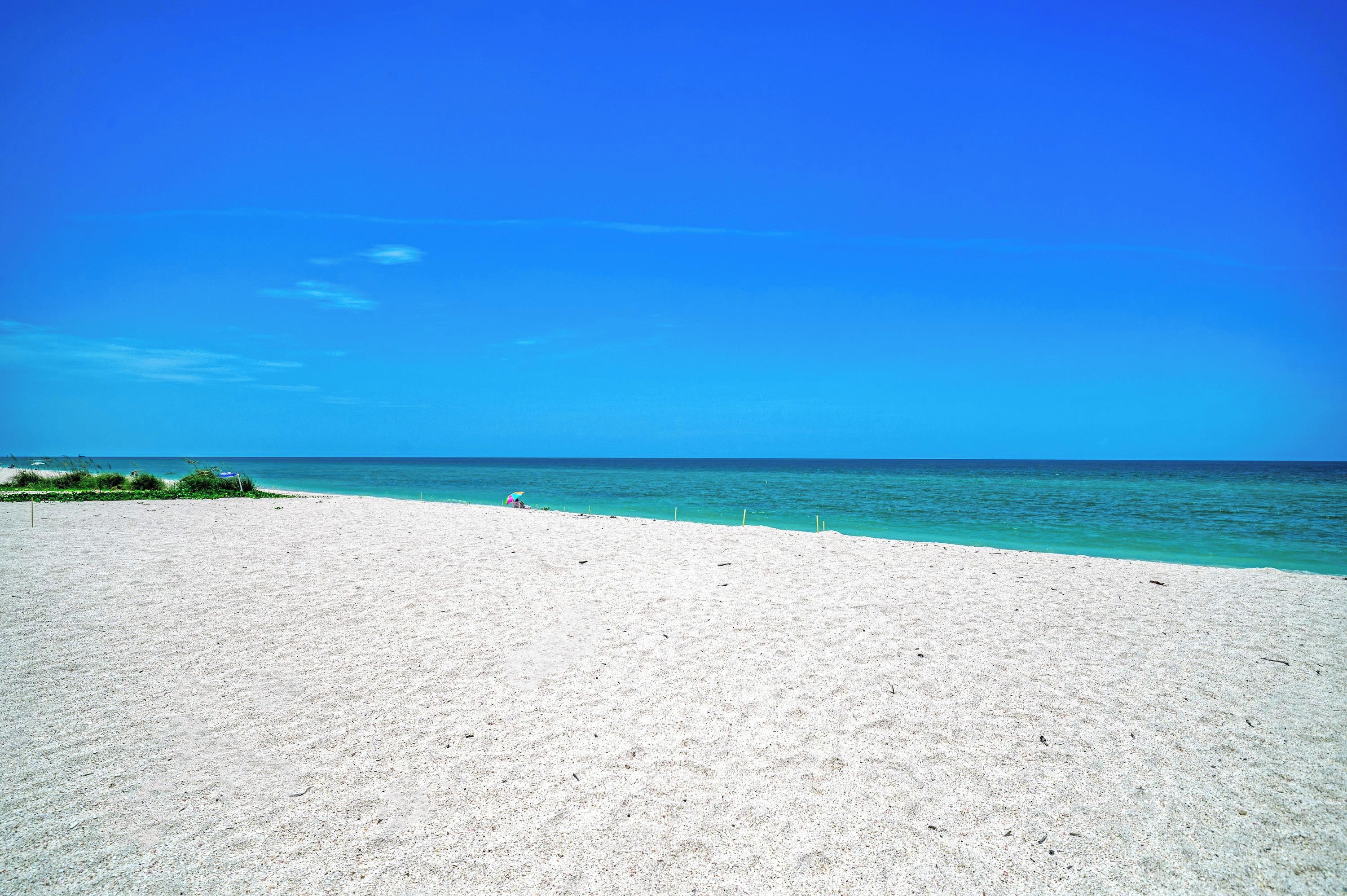 Une plage avec une eau d’un bleu limpide et un rivage sablonneux.