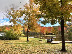 Property grounds - Tranquil waterfront cottage in Central Lake (Central Lake)