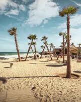 Una playa con palmeras, bancos de madera y una estructura de techo de paja.