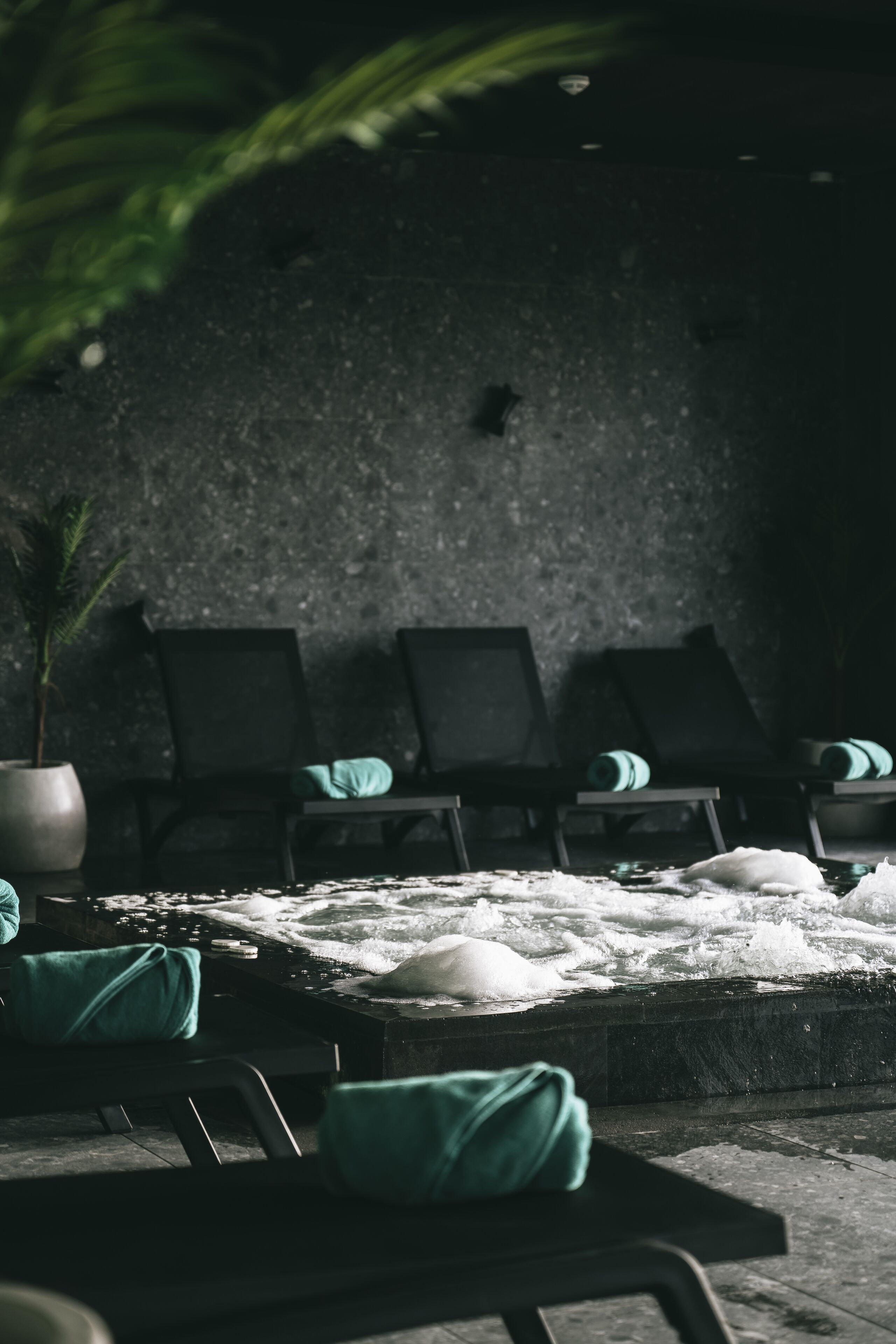 Phòng tắm hơi, phòng xông hơi, trị liệu toàn thân, khu tắm bùn 